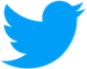 twitter-logo